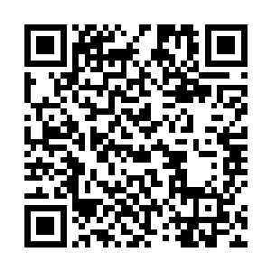 可这会看着这女尸从配音到表演一个人全部完成的过程二维码生成