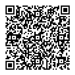 可这依旧不会改变雨果是他崇拜对象的事实――雨果的演技始终都是亚历克斯最为钦佩的才能二维码生成