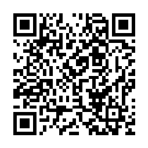 可这具分身的力量也绝对不是一般斩三尸强者能够相提并论的二维码生成