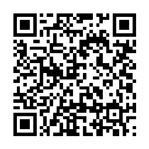 可这名无角人给他的感觉就像是和他具有同等地位二维码生成