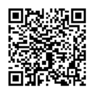 可这对于它们这些实力相对要弱爆的变异生物却是非常珍贵的二维码生成