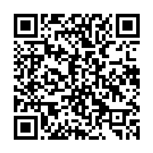 可这样的笑声传到了秦方的耳中都是那样的与众不同二维码生成