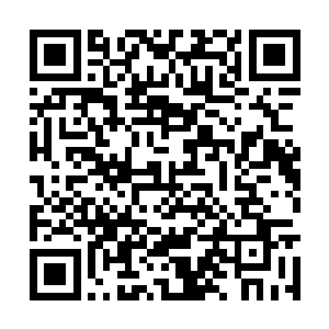 可这样的自欺欺人要有多不堪一击就有多不堪一击二维码生成