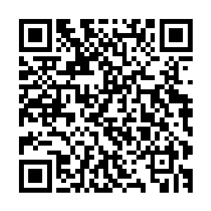 可这种独立空间必须建立在内外二界的灵气相对平衡的基础上二维码生成