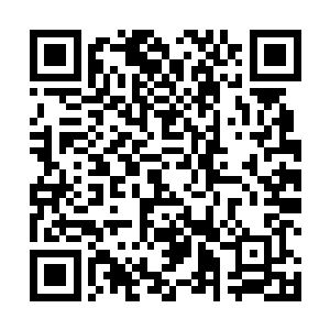 可这跟他们两人做我副手有什么关系……那个……林总二维码生成