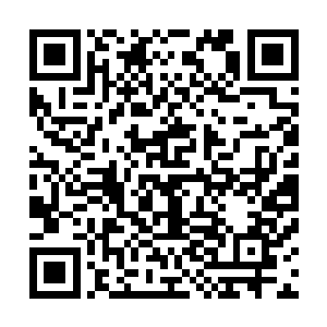 可这都无法阻挡金雕们手舞足蹈的抢着风卷残云一般吃火锅二维码生成