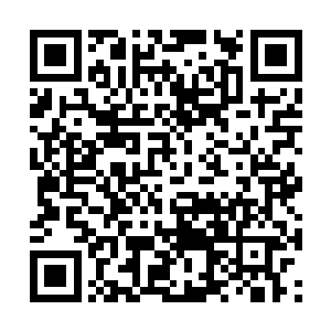 可这都是思思逼我的啊……对不起……对不起……二维码生成
