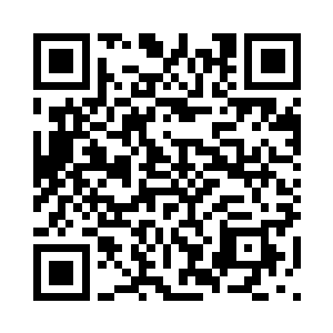 可这里的一切丝毫没有敷衍的迹象二维码生成