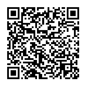 可进化之力不知是不是察觉小穿沙甲体内还有余力可以进行第二次进化二维码生成