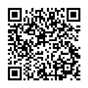 可那个男人明明说是要把这些传单拿到他居住的小区里二维码生成