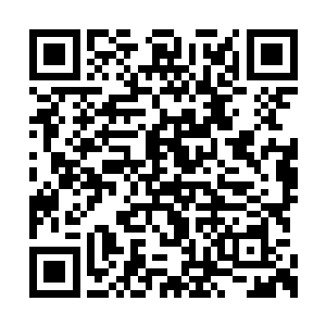 可那也是建立在洪蒙可以伤害到萧青的前提下的二维码生成