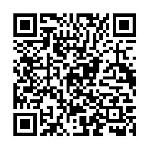 可那天大伙儿把少剩下的灰烬都埋到藏铃寺底下了二维码生成