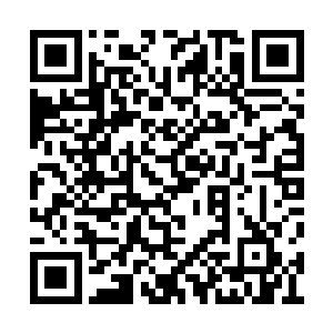 可那已经有不少皱纹的脸上却露出了欣慰的笑容二维码生成