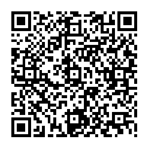 可那是一只实力被大幅度封印的至尊灵兽……比半步至尊灵兽也就强大那么一些而已二维码生成