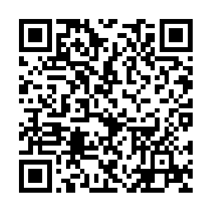 可都是专门为客人准备的解闷的舞姬或者修炼鼎炉二维码生成