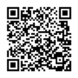 可采集兑换成仙树果碎片收集一百片可以合成一颗完整的仙树果二维码生成