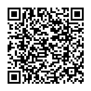 可阿古拉这种不高不低的受害者以及因为狼王而惶恐不安的年轻高手们二维码生成