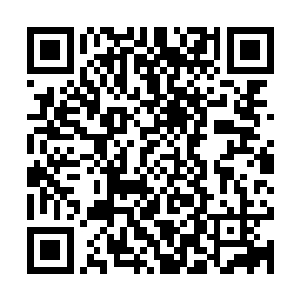 可随意在虚实之间进行自由转换的……几乎算是一种不死的生物二维码生成