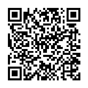 可面对虎神这样的对手这些天王境的高手那里敌得过二维码生成