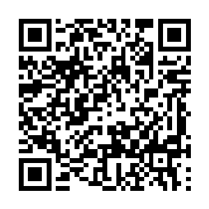 可韩风仍旧毫不犹豫利用精粹的雷霆之力淬炼身体二维码生成