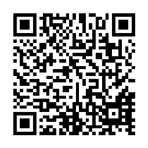 台下的人听到了西门吹雪的命令各个都十分的激动一同喊道二维码生成