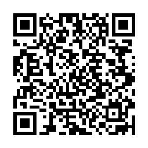 台下的佳佳一脸震惊的望着舞台上亲吻在一起的两人二维码生成