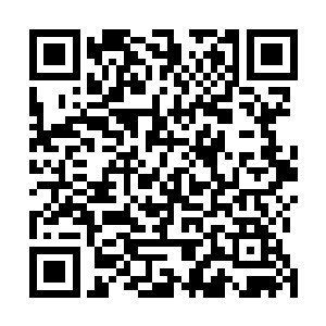 台下的观众们觉得自己的心脏也被一只无形的手用力扣住二维码生成