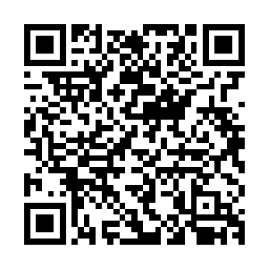 台下那响彻天际的呼喊声让今夜俊杰音乐节的舞台变得美轮美奂二维码生成