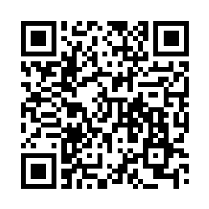 台阶两边种植着一片地下特有的植物二维码生成