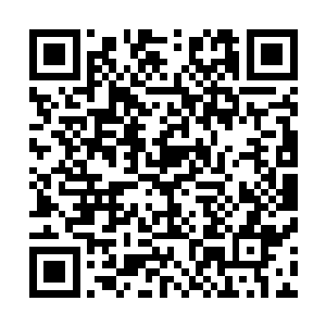 史密斯很可能是一个人――这条新闻里的很多信息都和扎德二维码生成