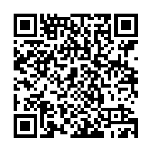 史蒂夫抵达五十一区之后就得知了自己基地变成废墟的消息二维码生成