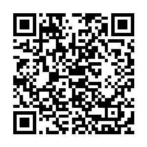 史蒂文一斯皮尔伯格两部作品大获全胜等观点也都跻身前十选项二维码生成