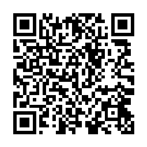右亲王说完直接带着宫殿所有侍卫和高手一起出去平乱了二维码生成