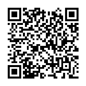 右手将一只正在快速爬着的大螃蟹从两侧捏了起来二维码生成