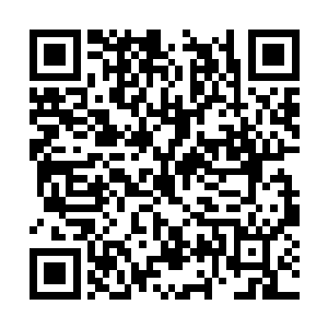 右手成拳带着一抹不易察觉的弧度向着对方打过去二维码生成