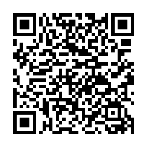 右手掐住了那个朝聂离二人扑过来的天转境强者的脖子二维码生成