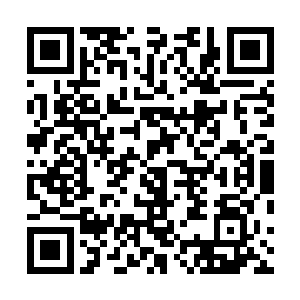右手的鲁格手枪就好像在大刀砍杀的时候拿了一把手术刀二维码生成