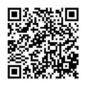 右手看似随便地一拳迎向了金守志轰击过来的拳头二维码生成