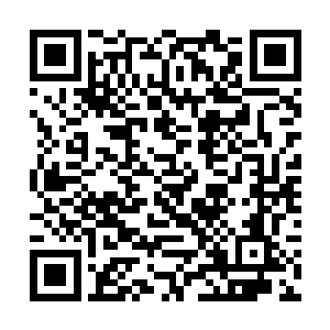 右腿狠狠地向下面的草地扫了几个极其有力的旋风腿二维码生成