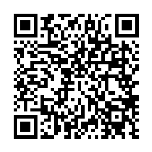 右臂上的疼痛不断提醒着杰克苏凡并不是一个心慈手软的人二维码生成