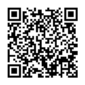 右边大腿处固定着一套墨绿色硬壳的手枪快拔枪套二维码生成