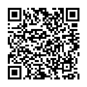叶云端此际身上所表现出来的任何一点细微动作二维码生成