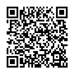 叶伯亭当着夏天的面伸出受伤的食指晃了晃……二维码生成