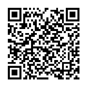 叶俪拿起手帕轻轻帮蛋圆圆抹了一把额头上的汗水二维码生成