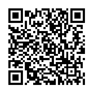 叶倾城冰冷的目光扫视了在场所有的武zhuang人员二维码生成