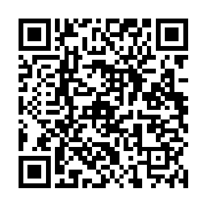 叶倾城和赵小柔等人已经到了飞云市军分区的军用机场二维码生成