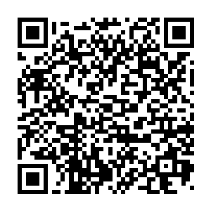 叶倾城将周狼去岛国的大概两个月的时间内发生的事情大致说了一遍二维码生成