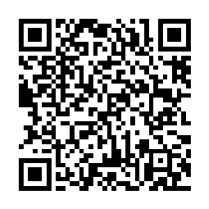 叶公子难道不知道君主阁完美置身事外可非是今日才开始的二维码生成