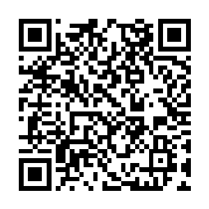 叶凝随后又端了鱼汤用汤勺装了小心给我喂到嘴里二维码生成