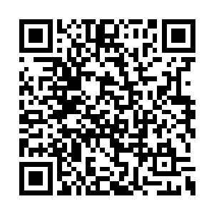 叶凡不自觉的就想到了林美心等人给他咬的画面二维码生成